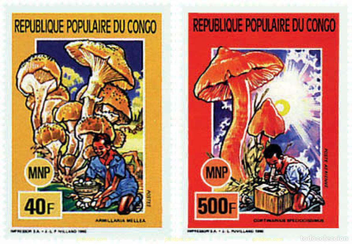 Sellos: 207990 MNH CONGO 1991 ESCULTISMO. SETAS Y MARIPOSAS
