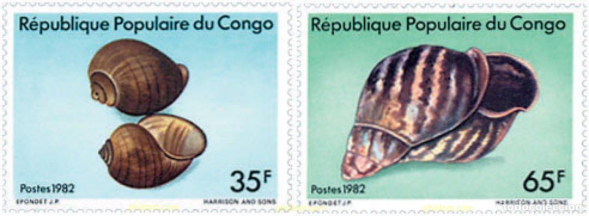 Sellos: 210005 MNH CONGO 1982 CONCHAS - Foto 1