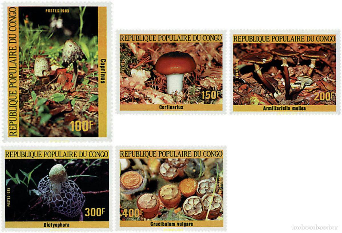 Sellos: 37510 MNH CONGO 1985 SETAS - Foto 1