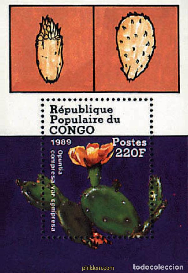 Sellos: 82674 MNH CONGO 1989 CACTUS