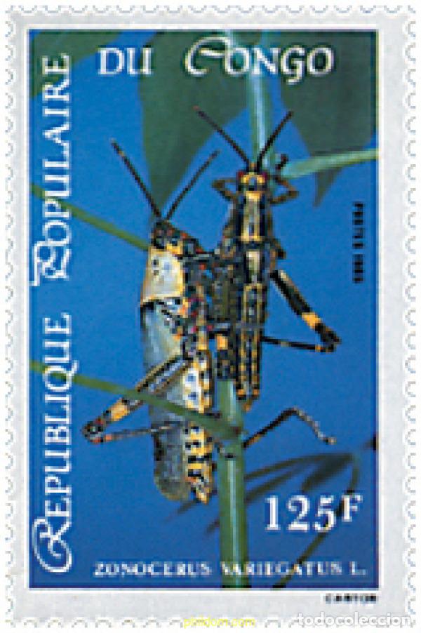 Sellos: 73576 MNH CONGO 1985 INSECTOS