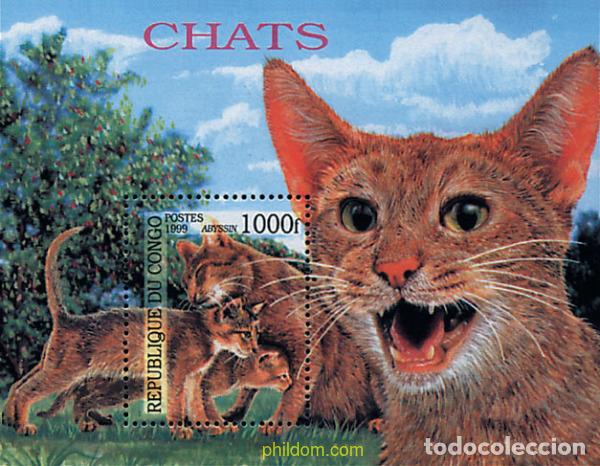 Sellos: 132685 MNH CONGO 1999 GATOS