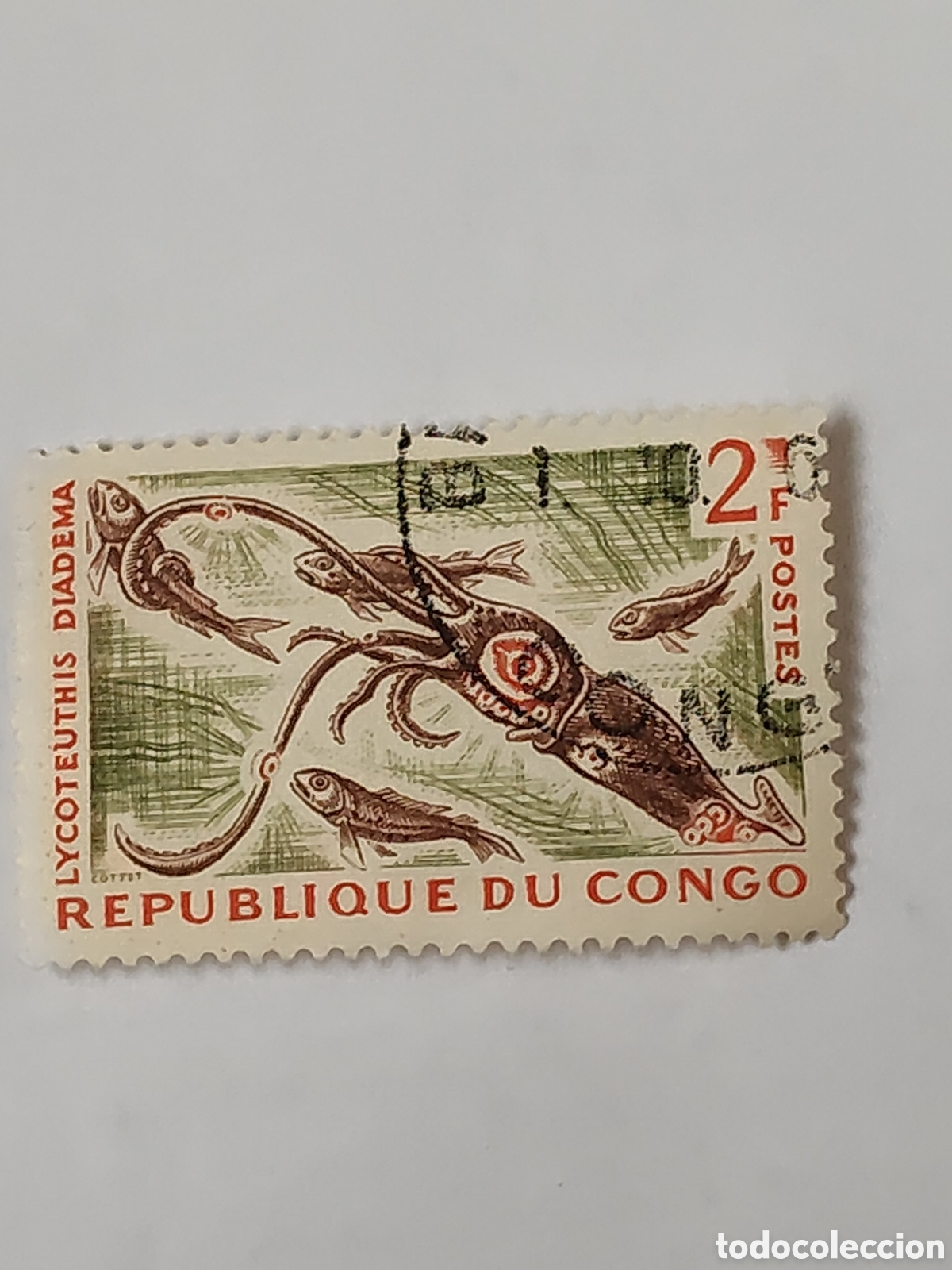 Sellos: Sello del Congo Fauna calamar luminoso 1964 usado