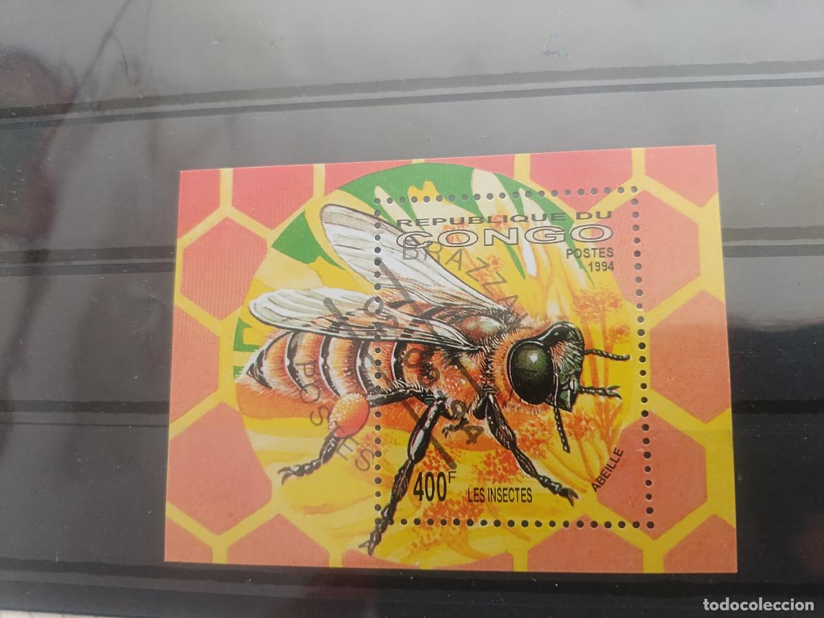 Sellos: Congo. Abeja. Sello en Hoja Bloque