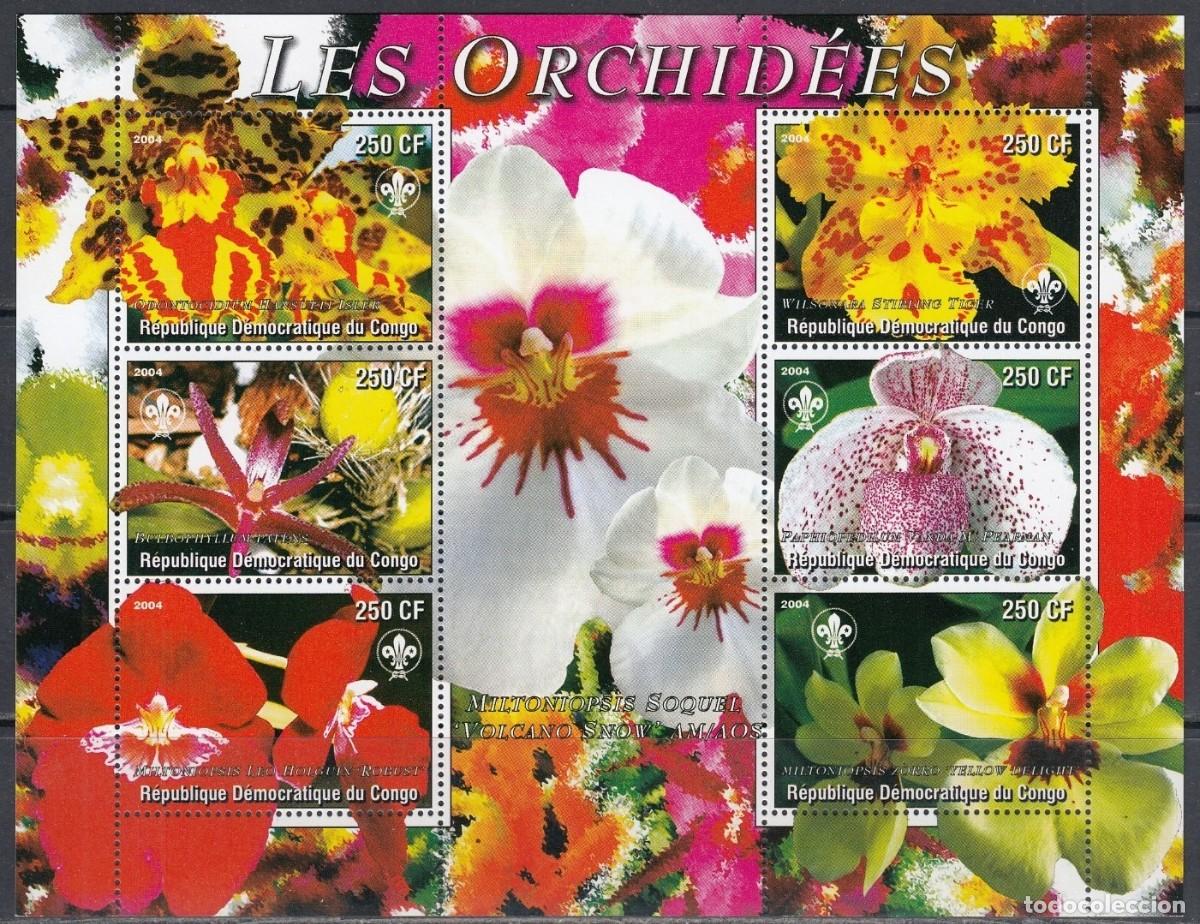 Sellos: CONGO 2004 SHEET MNH ORCHIDS ORCHIDEES ORQUIDEAS FLORES MARIPOSAS BUTTERFLIES PAPILLONS