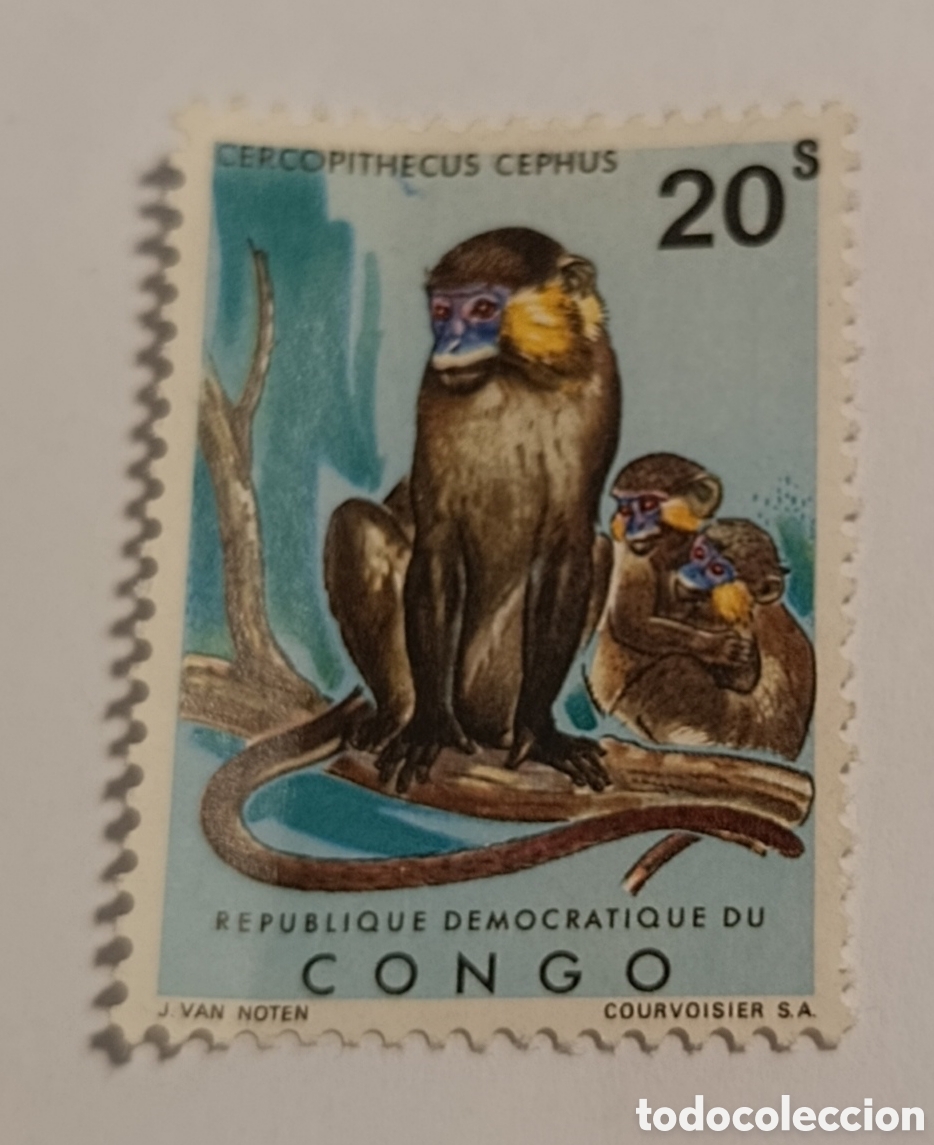 Sellos: CONGO sello animales mono cercopirhecus cephus