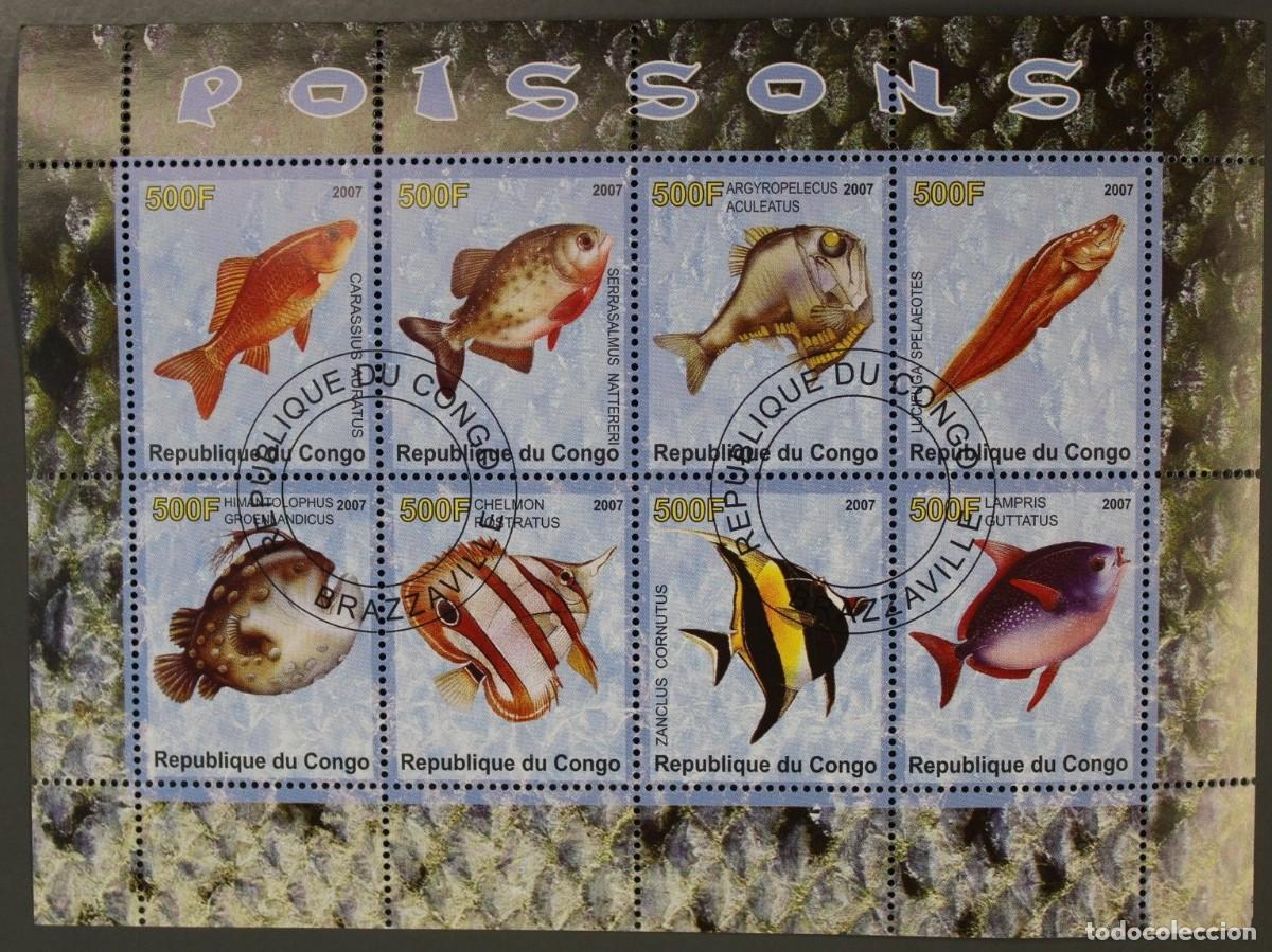 Sellos: CONGO 2007 SHEET USED MNH FAUNA MARINA FISHES PECES POISSONS PESCI FISCHEN PEIXES MARINE LIFE