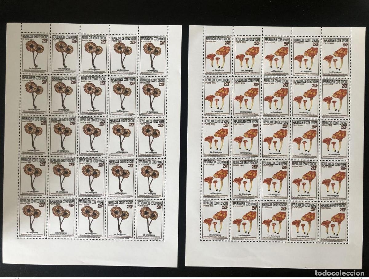 Stamps: Costa de Marfil 2005 Mi. 1475 - 1476 hojas B&ouml;gen Mushrooms