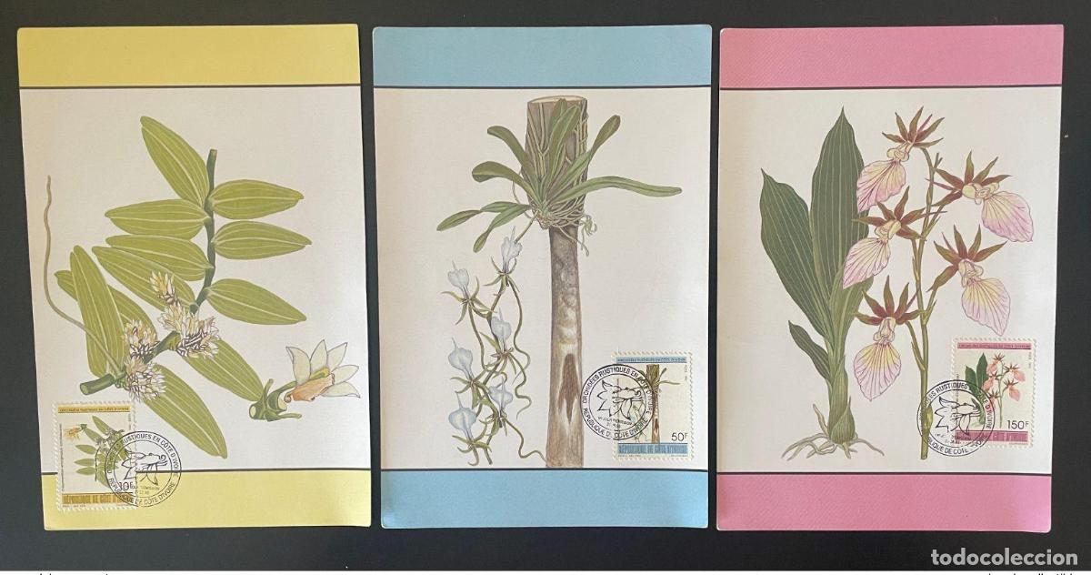 Sellos: Costa de Marfil 1993 Mi. 1095 - 1097 Tarjeta m&aacute;xima Orqu&iacute;deas Flores