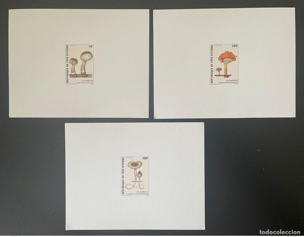 Sellos: Costa de Marfil 1998 Mi. 1193 - 1195 Proof Luxe Hongos