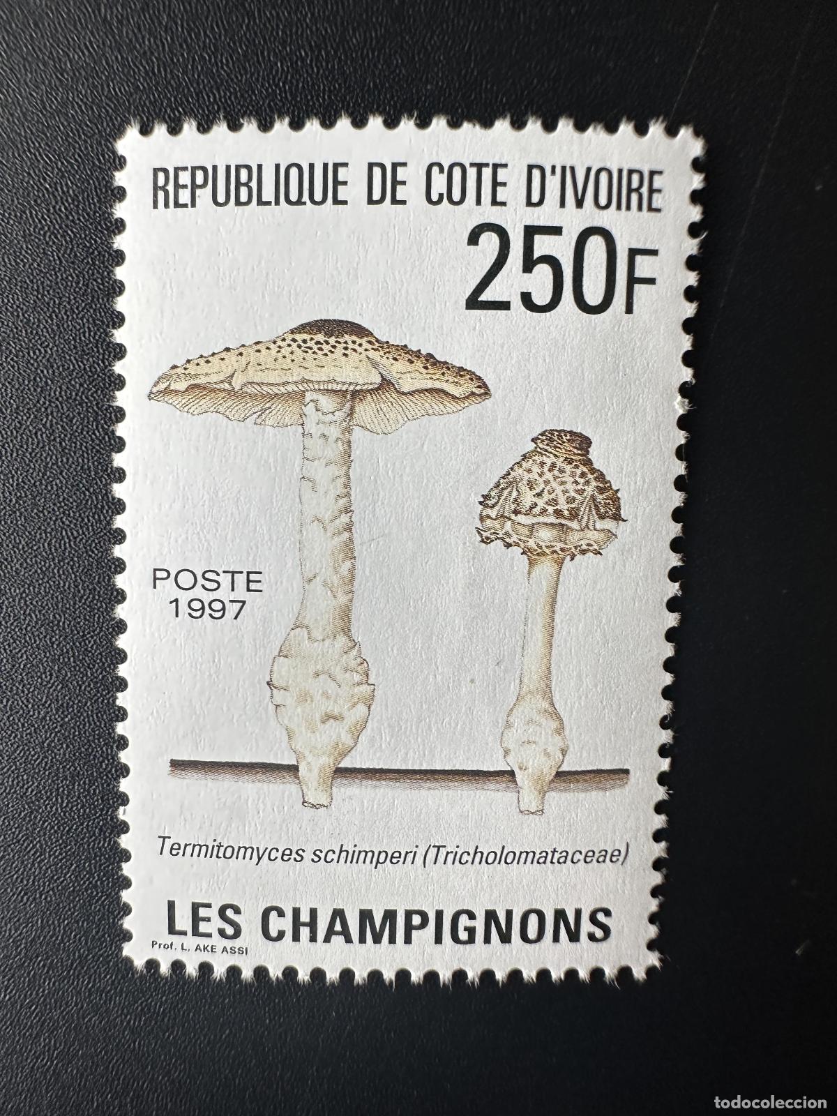 Sellos: Costa de Marfil 1995 Mi. 1145 II (1997) Hongos y Pilze