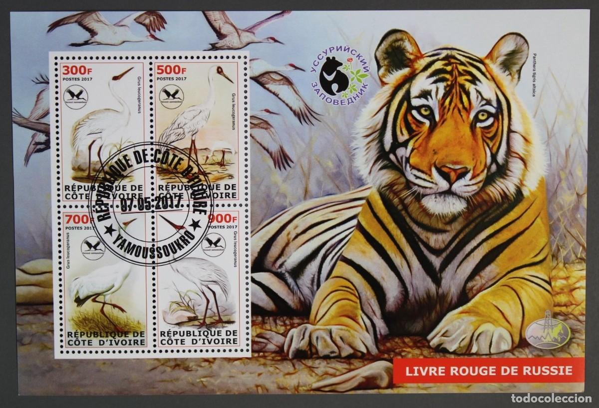 Sellos: IVORY COAST 2017 SHEET USED MNH FAUNA LIBRO ROJO RUSIA TIGRES FELINOS AVES GRULLA SIBERIANA BIRDS