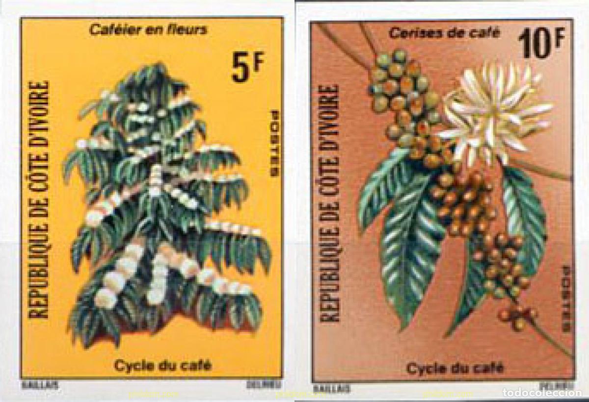 Sellos: 13513 MNH COSTA DE MARFIL 1975 CICLO DEL CAFE