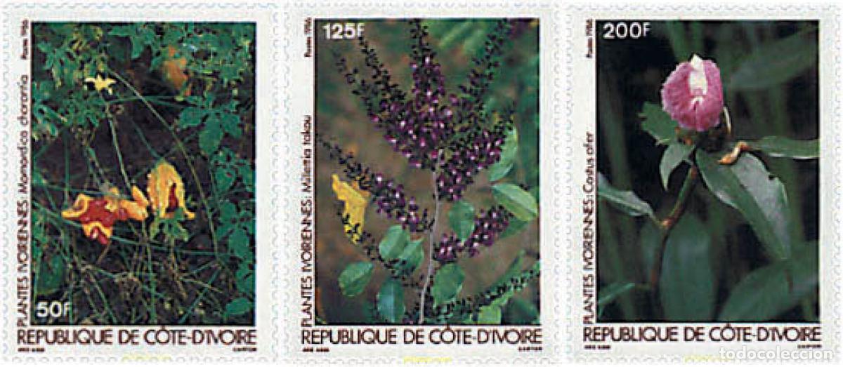 Sellos: 300386 MNH COSTA DE MARFIL 1986 FLORA DE COSTA DE MARFIL