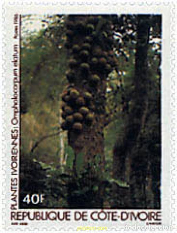 Sellos: 340713 MNH COSTA DE MARFIL 1986 FLORA DE COSTA DE MARFIL
