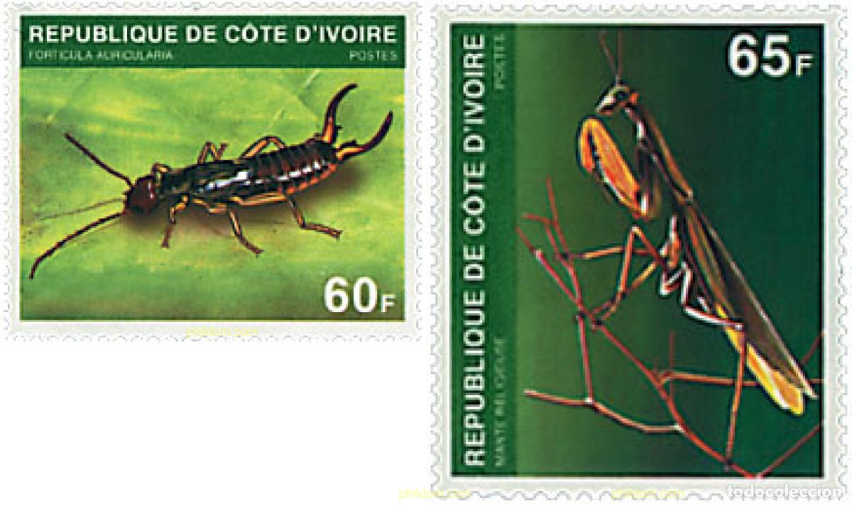 Sellos: 604140 MNH COSTA DE MARFIL 1980 INSECTOS