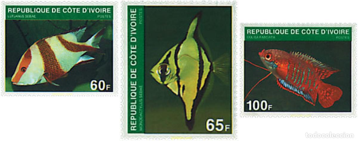 Sellos: 28504 MNH COSTA DE MARFIL 1980 PECES