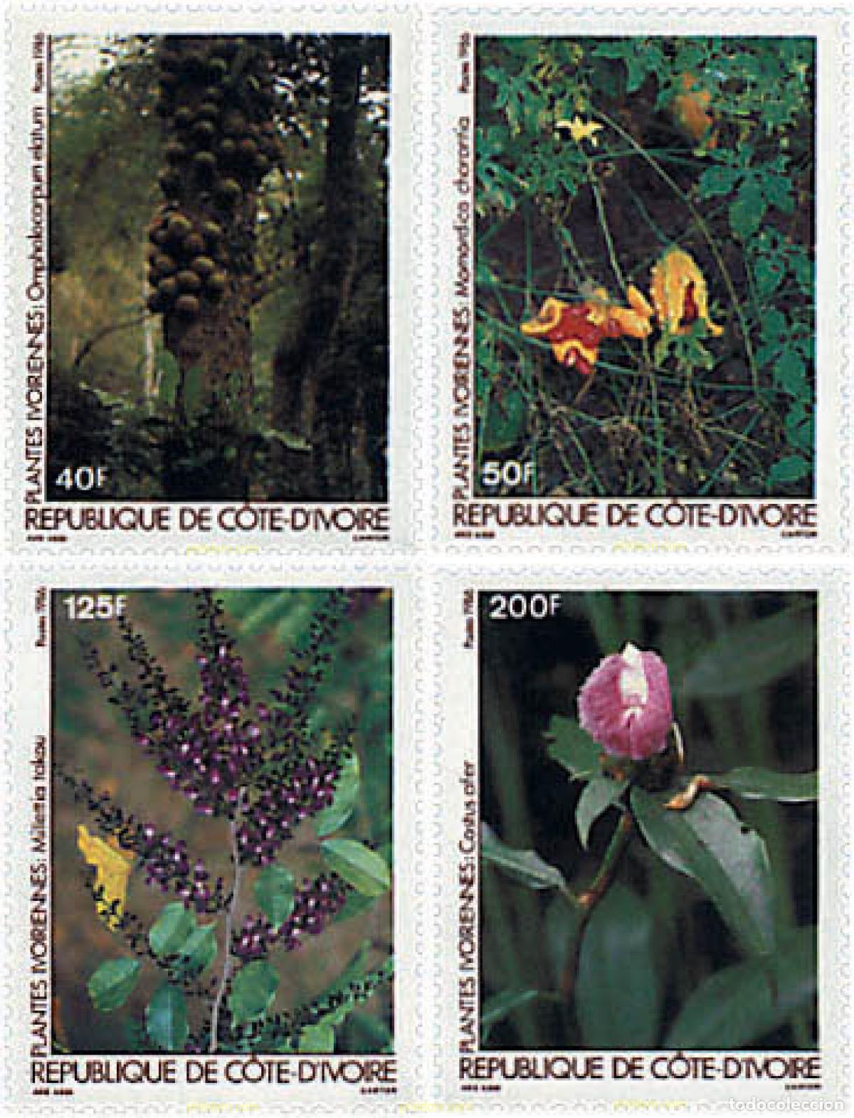 Sellos: 89888 MNH COSTA DE MARFIL 1986 FLORA DE COSTA DE MARFIL