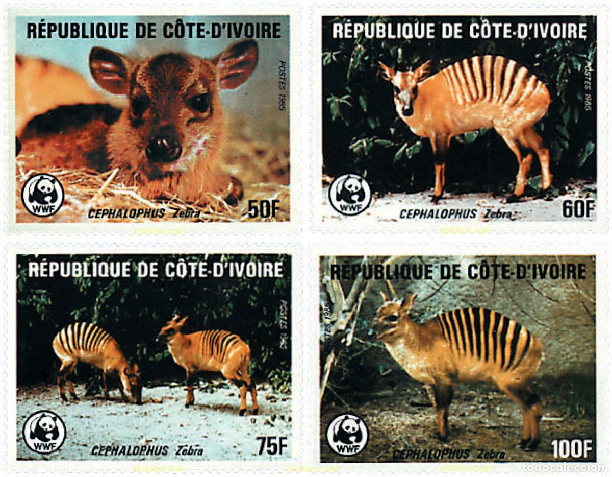 Sellos: 74279 MNH COSTA DE MARFIL 1985 DUYKER RAYADO