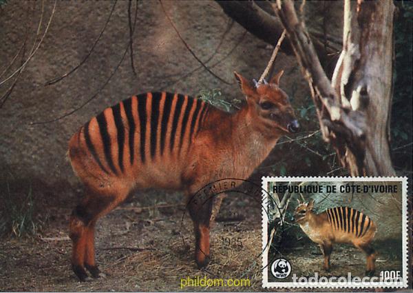 Sellos: 275019 MNH COSTA DE MARFIL 1985 DUYKER RAYADO