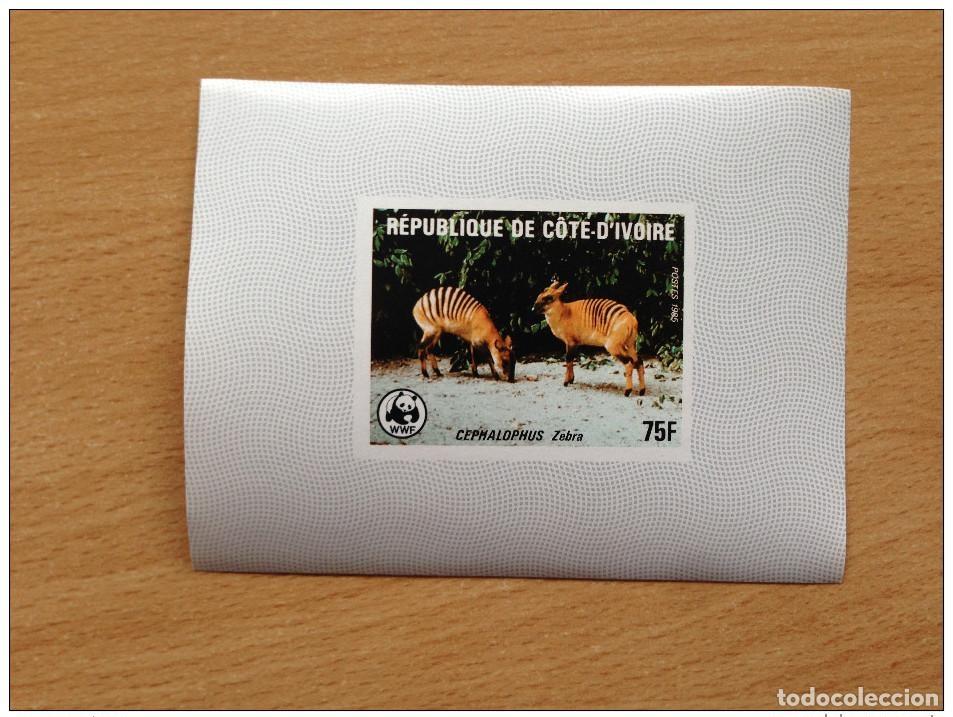Sellos: Costa de Marfil 1985 WWF Wildlife Zebra Cephalophus &iexcl;Prueba lujo RARA!