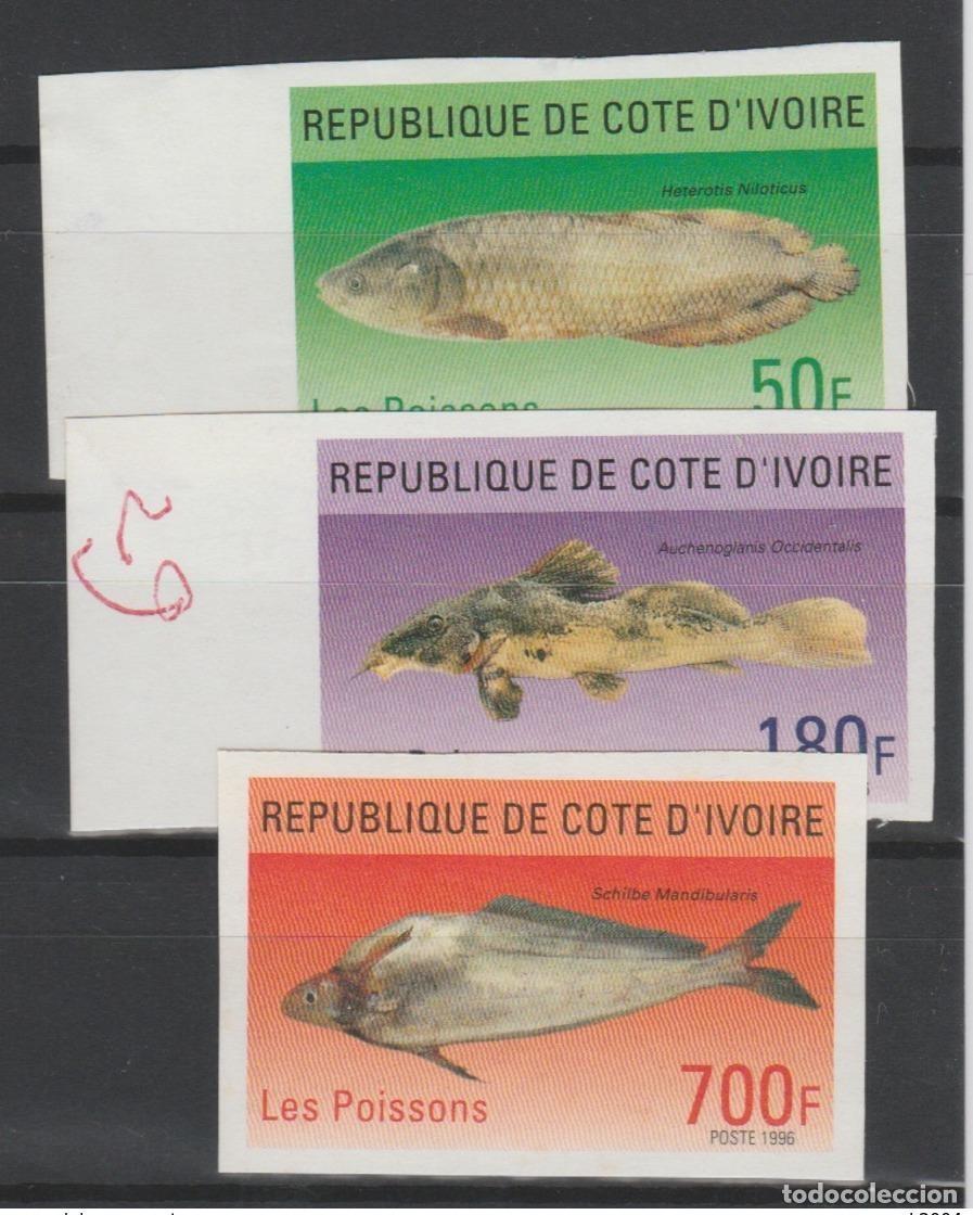 Sellos: Costa de Marfil 1996 IMPERF ND Peces Fauna marina y MNH**