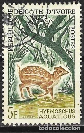 Sellos: Costa de Marfil 1964 - Mi 262 - YT 214 - Fauna : Corzo