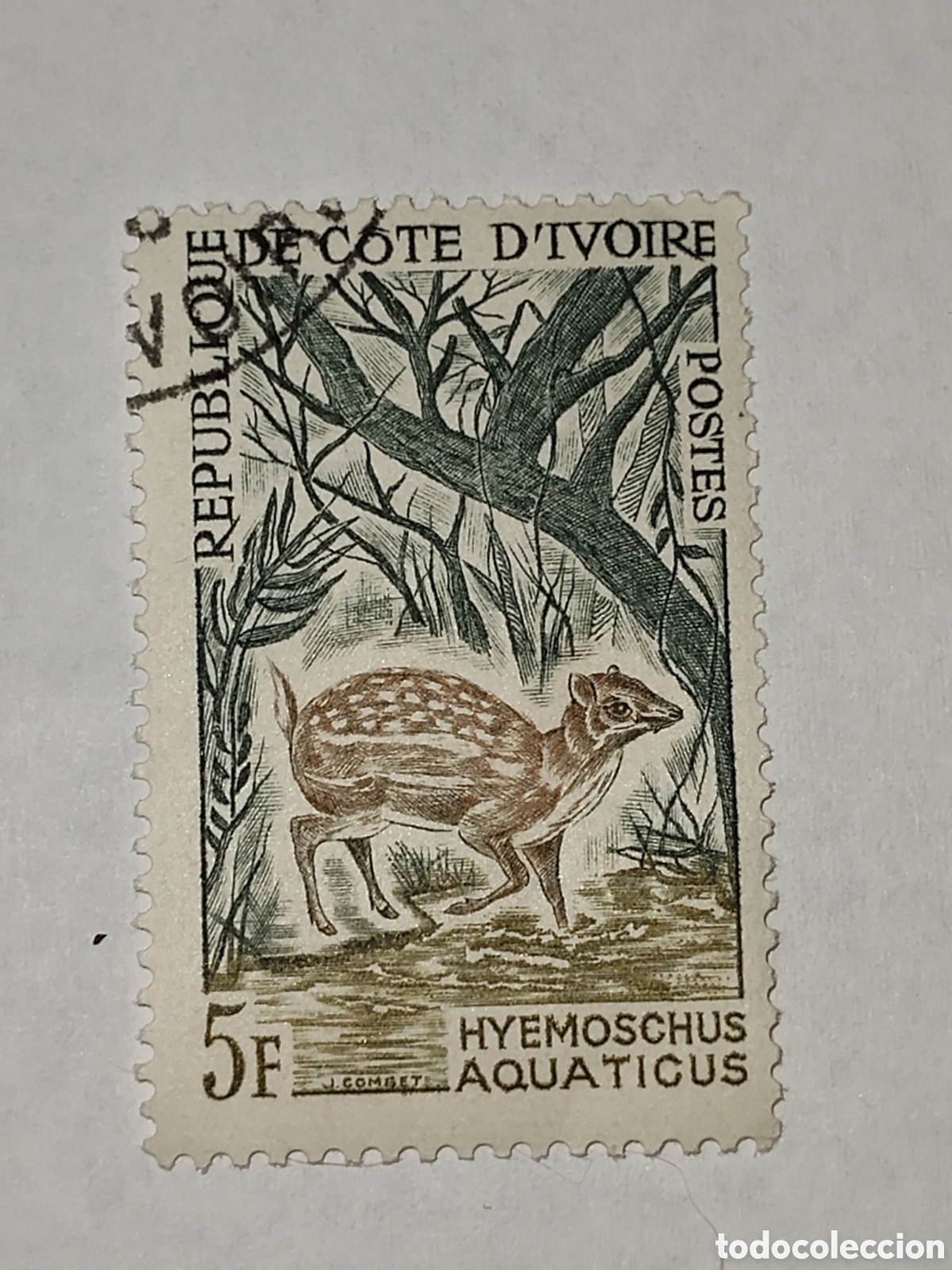 Sellos: Sello de Costa de Marfil Chevrotain de agua 1964 usado