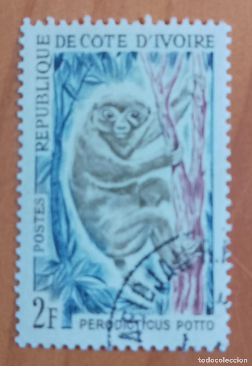 Sellos: COTE D&acute;IVORE, COSTA DE MARFIL - V/F 2 F - FAUNA, PRIMATE, PERODICTICUS POTTO - VER DESCRIPCI&Oacute;N.