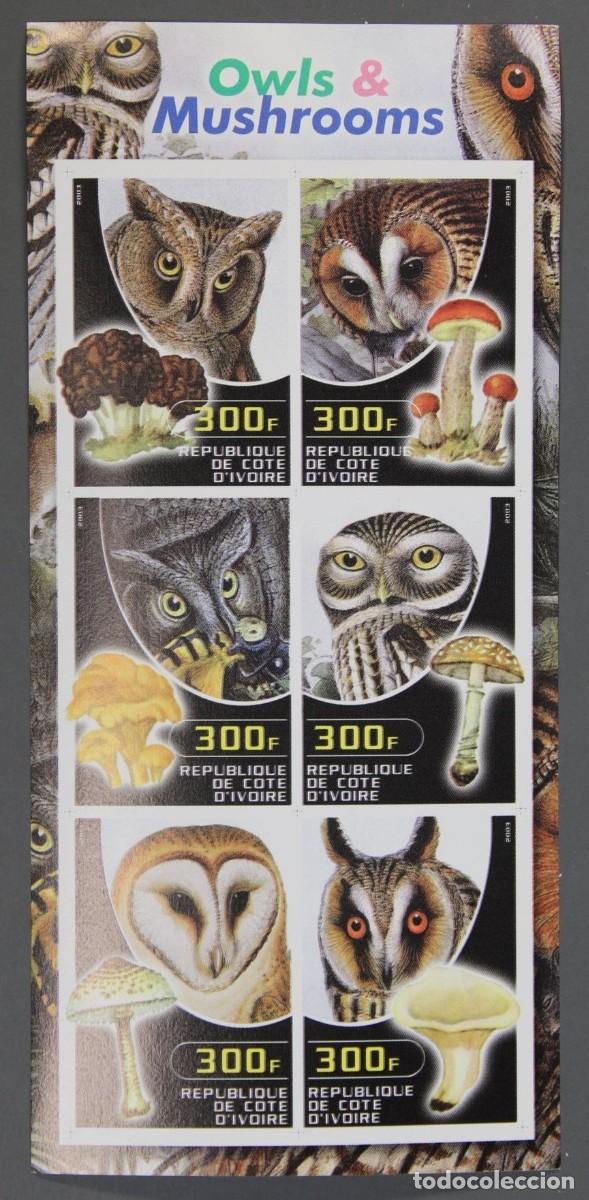 Sellos: IVORY COAST 2003 SHEET MNH IMPERF MUSHROOMS CHAMPIGNONS SETAS BUHOS OWLS HIBOUX EULEN AVES BIRDS