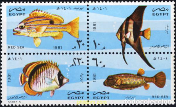 Sellos: 4822 MNH EGIPTO 1982 50 ANIVERSARIO DE LA ESTACION BIOLOGICA MARINA DE AL-GHADARKA Y 1 CONFERENCIA