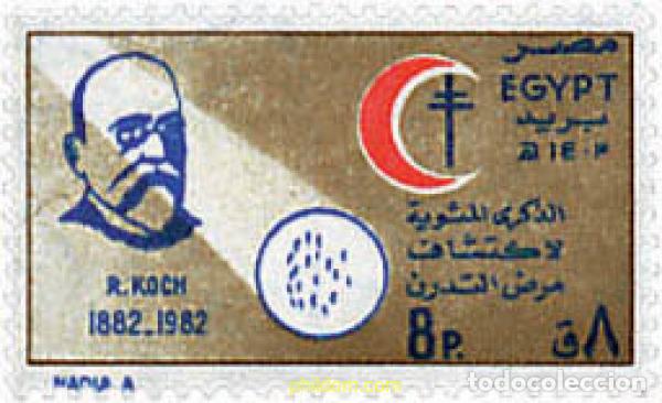 Sellos: 309623 MNH EGIPTO 1982 DIA DE LAS NACIONES UNIDAS