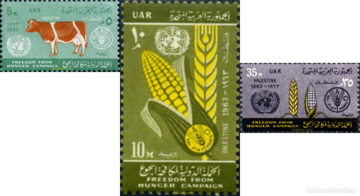 Sellos: 50873 MNH PALESTINA. Ocupaci&oacute;n egipcia 1963 CAMPA&Ntilde;A MUNDIAL CONTRA EL HAMBRE