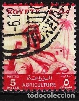 Sellos: Egipto 1954 - Mi 477 - YT 368 - Agricultor