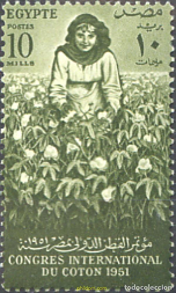Sellos: 266335 MNH EGIPTO. Reino 1951 CONGRESO INTERNACIONAL DEL ALGODON