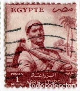 Stamps: Egipto. Caampesino 1953-56. YT-365. Usado