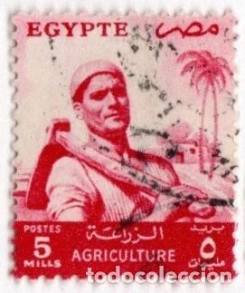 Stamps: Egipto. Campesino. 1953-56. YT-368. Usado
