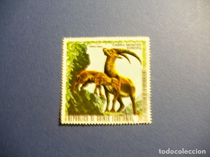 Briefmarken: GUINEA ECUATORIAL - FAUNA - PROTECCION DE LA NATURALEZA - CABRA MONTESA.