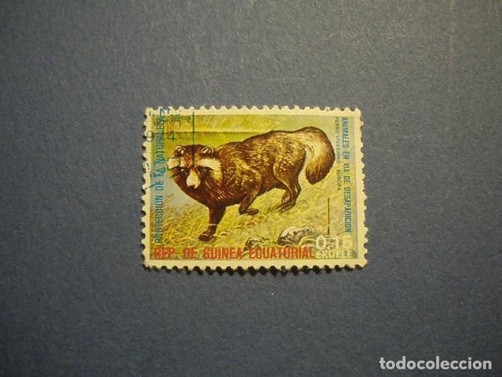 Selos: GUINEA ECUATORIAL - FAUNA - PERRO VIVERRINO, EUROPA.