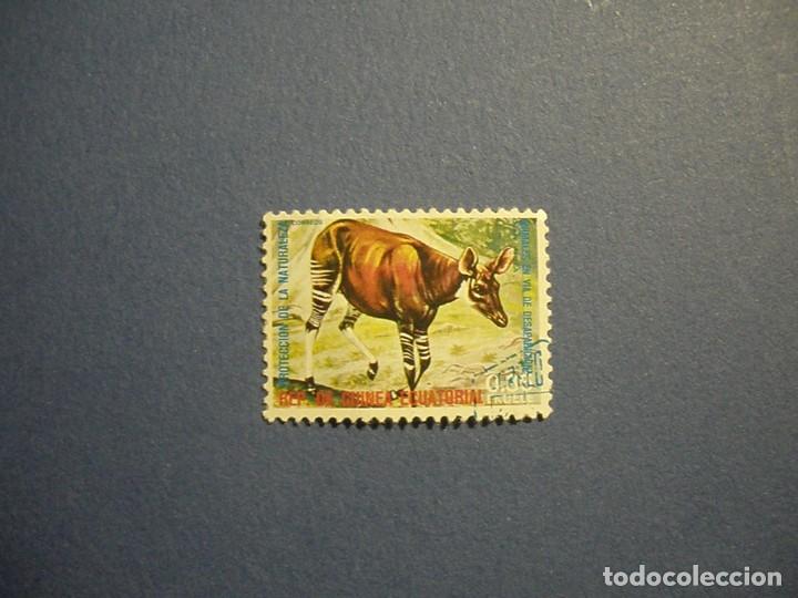 Selos: GUINEA ECUATORIAL - FAUNA - OKAPI.