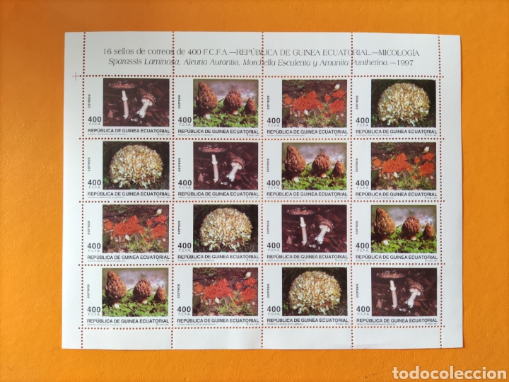 Selos: Minipliego REPÚBLICA DE GUINEA ECUATORIAL MICOLÓGIA- 1997