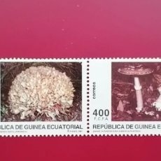 Sellos: GUINEA ECUATORIAL 1997 - EDIFIL 233/236 - MICOLOGÍA - NUEVOS MNH. Lote 402877194