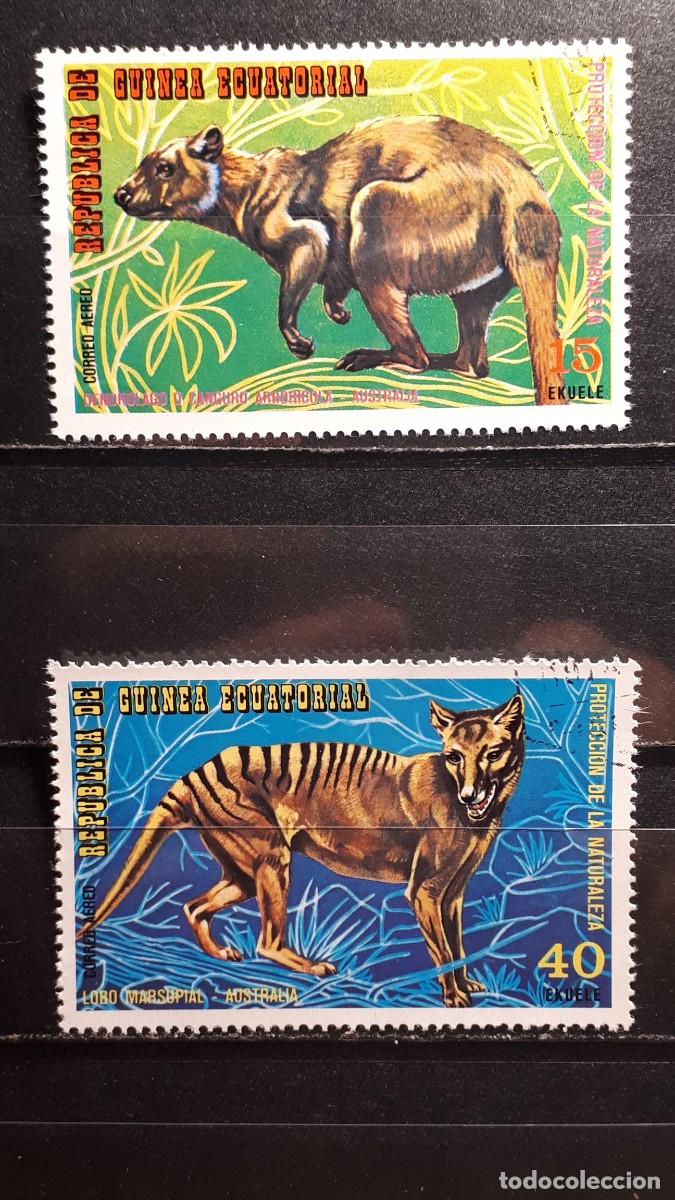 Sellos: GUINEA ECUATORIAL. A&Ntilde;O 1975. &deg;. EDIFIL a&eacute;reo 36