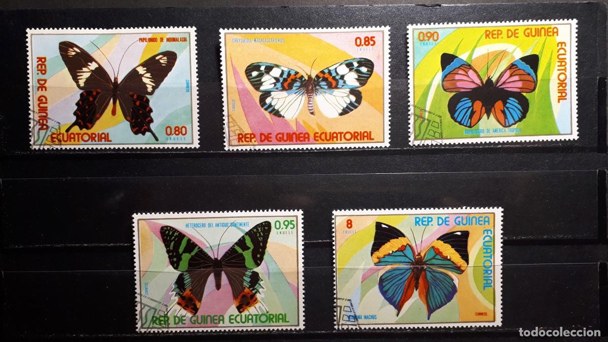 Sellos: GUINEA ECUATORIAL. A&Ntilde;O 1977. &deg;. EDIFIL 104