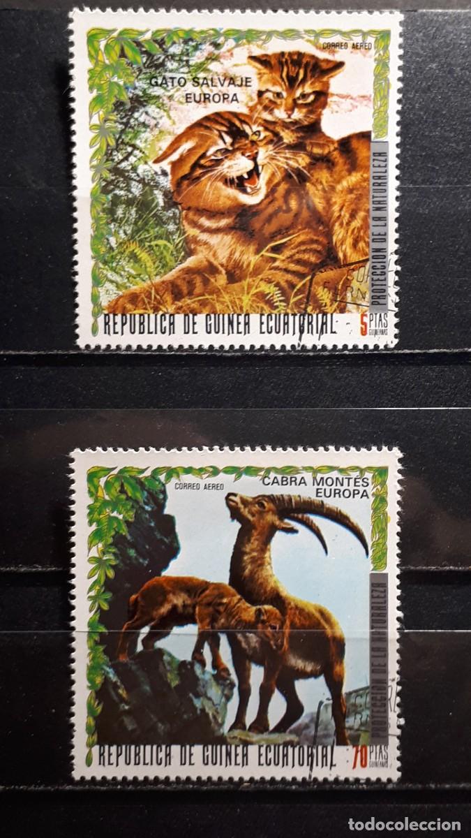 Sellos: GUINEA ECUATORIAL. A&Ntilde;O 1976. &deg;. EDIFIL a&eacute;reo 72