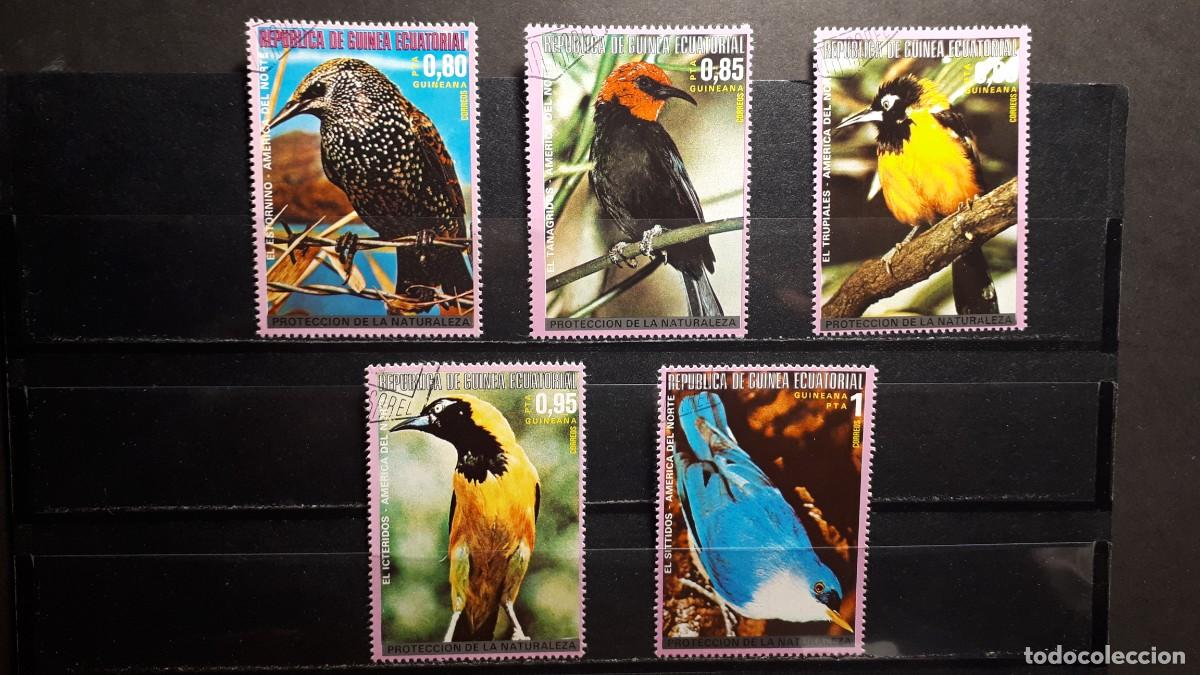 Sellos: GUINEA ECUATORIAL. A&Ntilde;O 1977. &deg;. EDIFIL 97