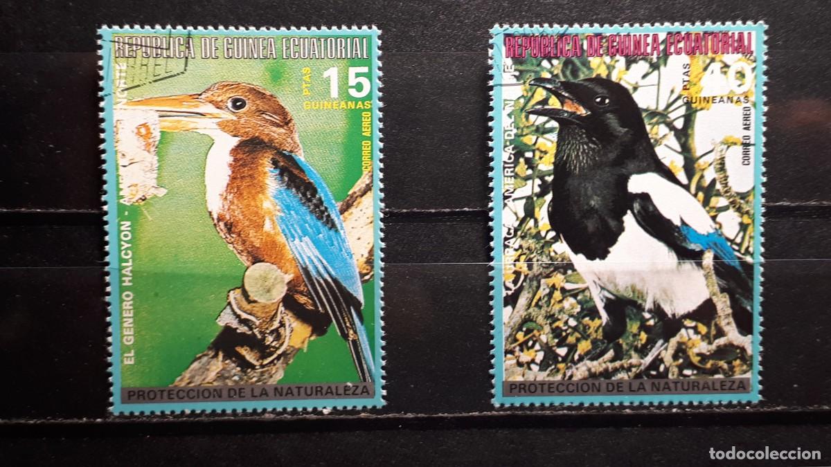 Sellos: GUINEA ECUATORIAL. A&Ntilde;O 1977. &deg;. EDIFIL a&eacute;reo 81