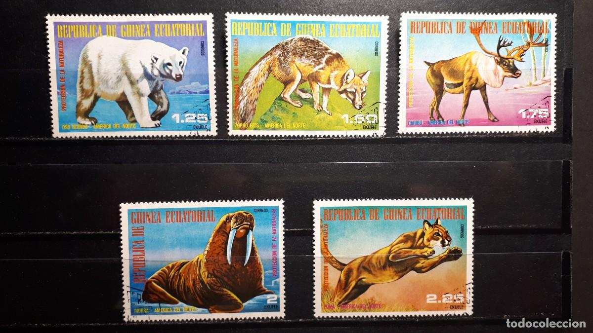 Sellos: GUINEA ECUATORIAL. A&Ntilde;O 1977. &deg;. YVERT 108