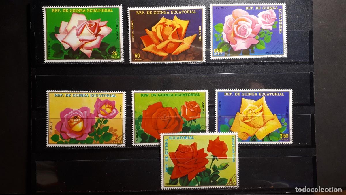 Sellos: GUINEA ECUATORIAL. A&Ntilde;O 1980. &deg;.