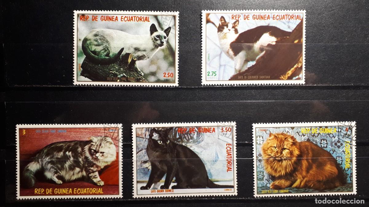 Sellos: GUINEA ECUATORIAL. A&Ntilde;O 1978.&deg;.